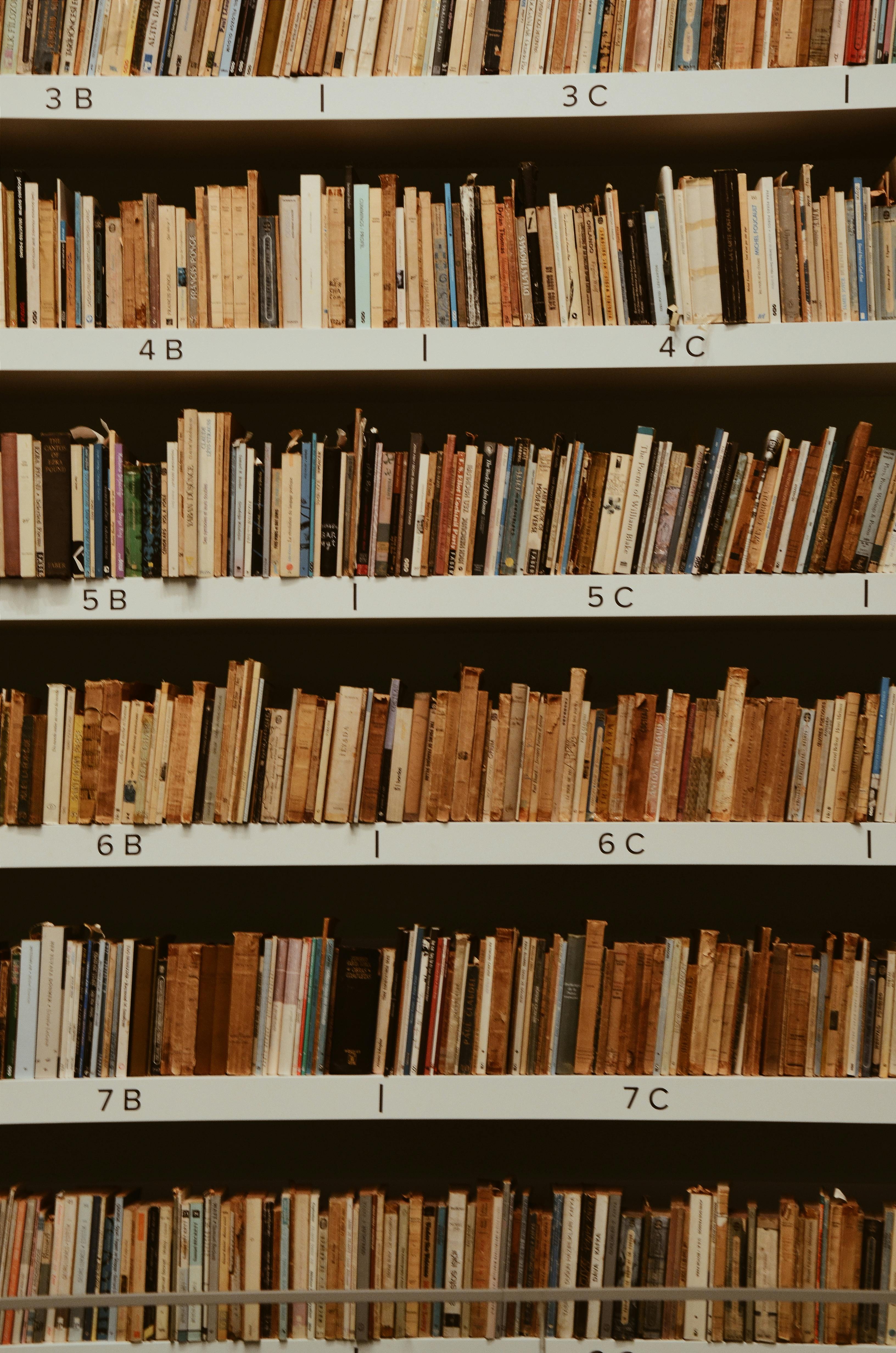 3264x4928 Best Library Photo · 100% Free Downloads