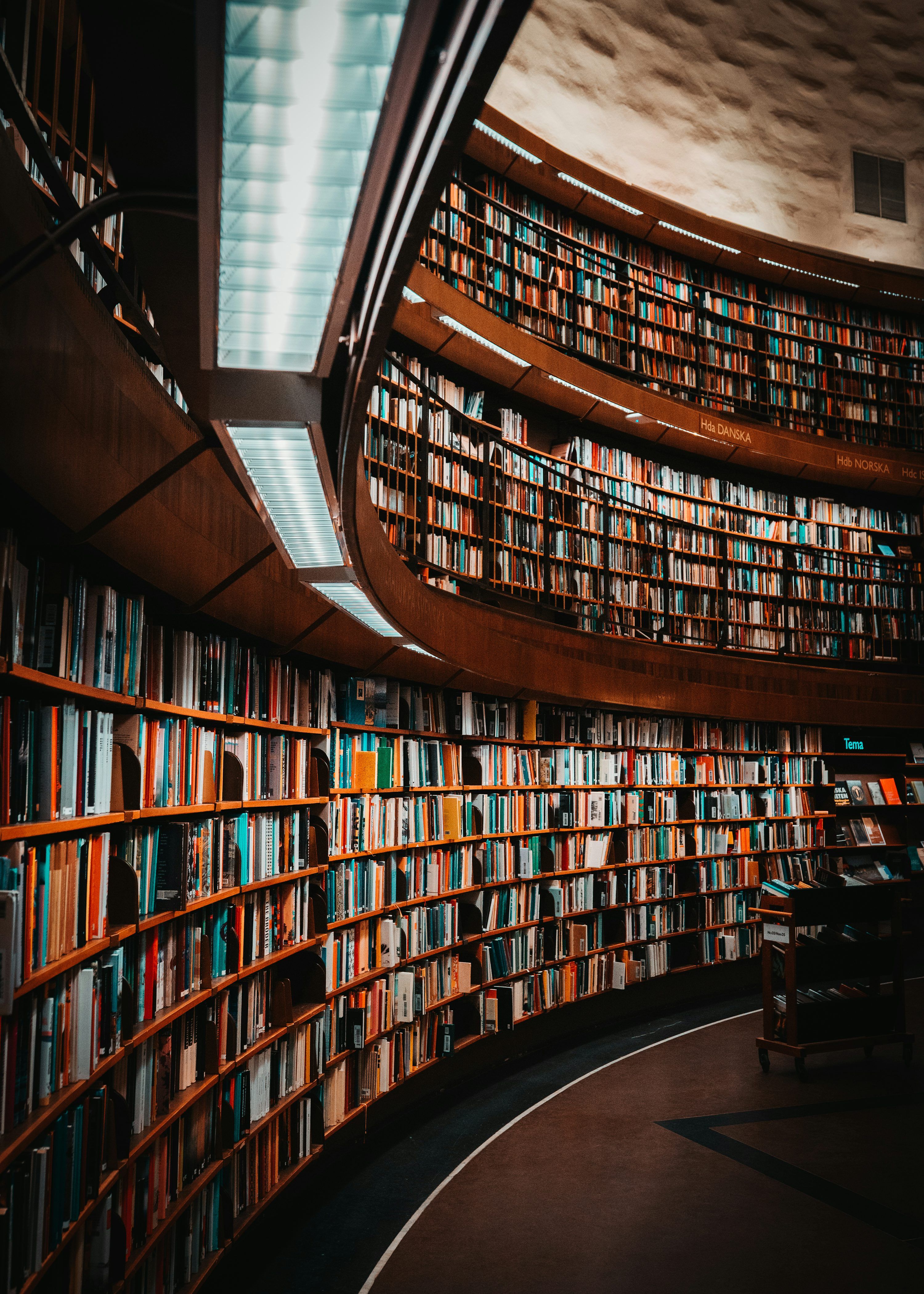 3000x4200 Library Picture [HD]. Download Free Image