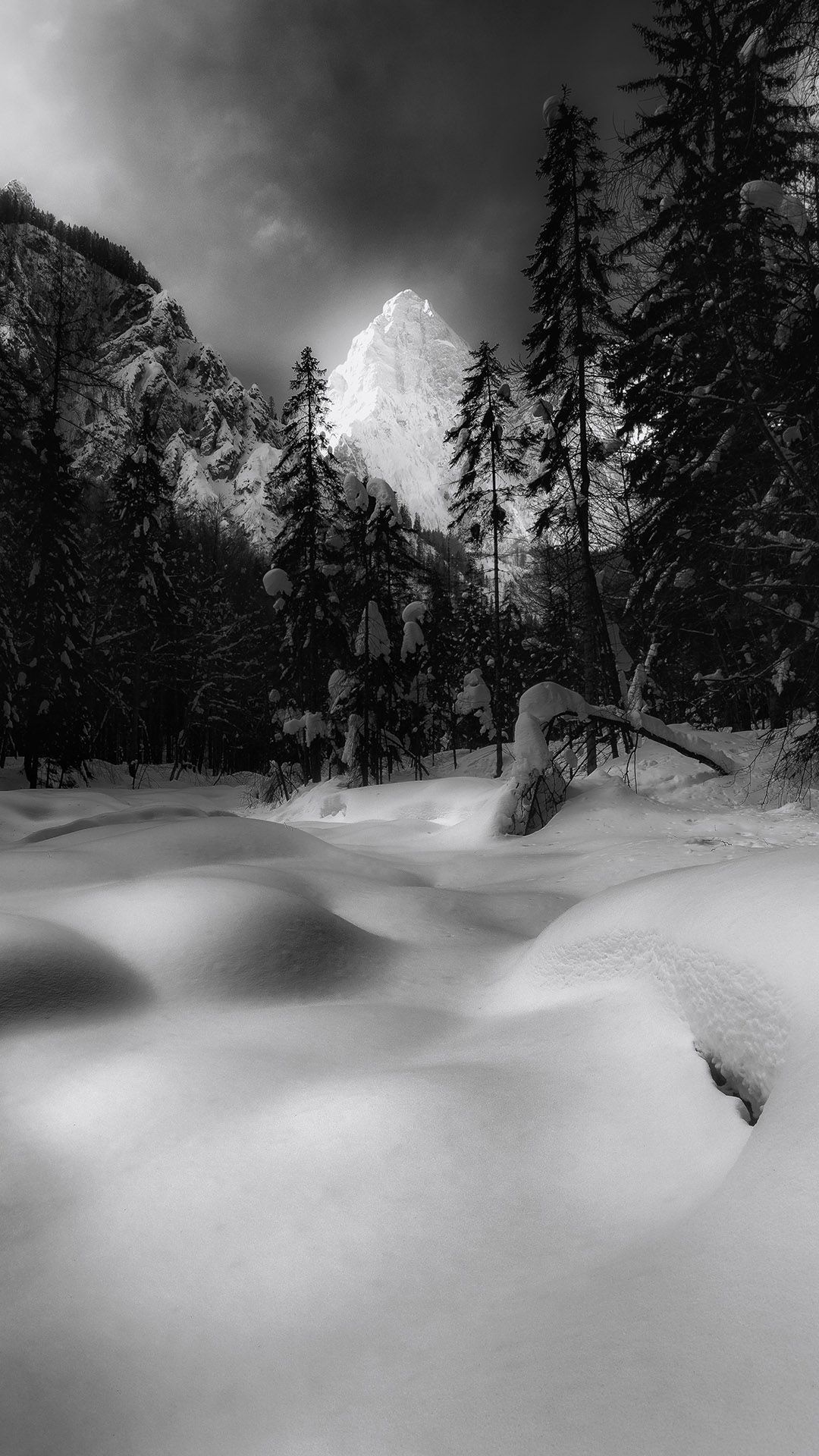 1080x1920 Dreamy Pixel. Free iPhone Wallpaper: Snowy landscape in black and white