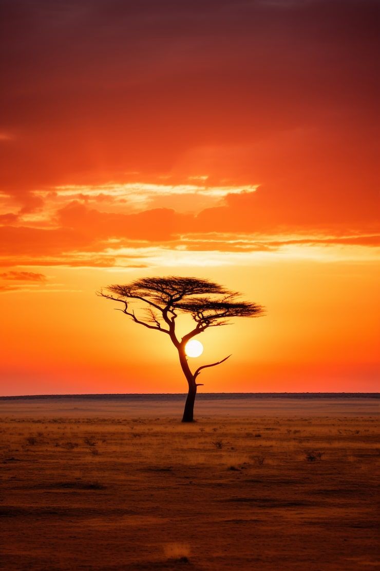 740x1110 West africa Image