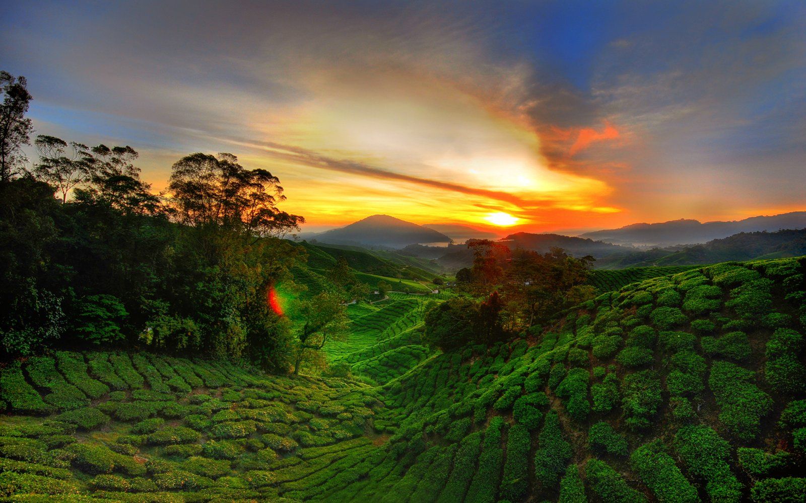 1600x1000 Cameroon West Africa Green Landscape Red Sky Sunset Desktop Wallpaper Full Screen :