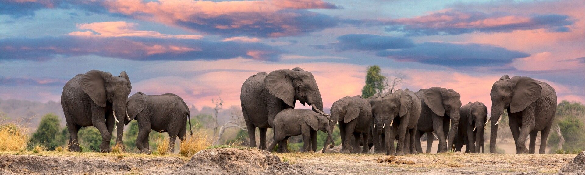 1920x577 South Africa Highlights