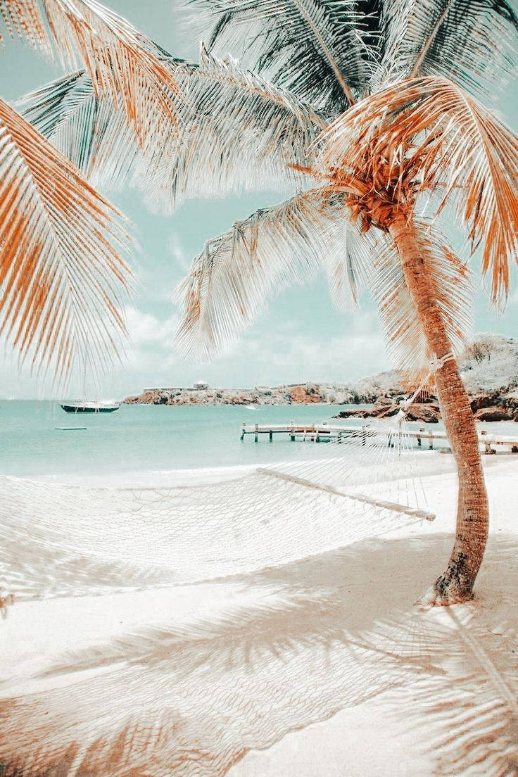 736x1104 Download Aesthetic Beach With Fine White Sands Wallpaper