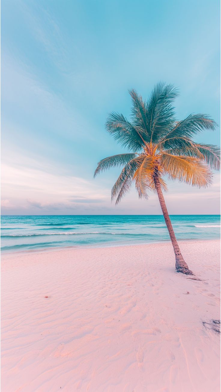 736x1308 Florida Beach Aesthetic Travel Wallpaper