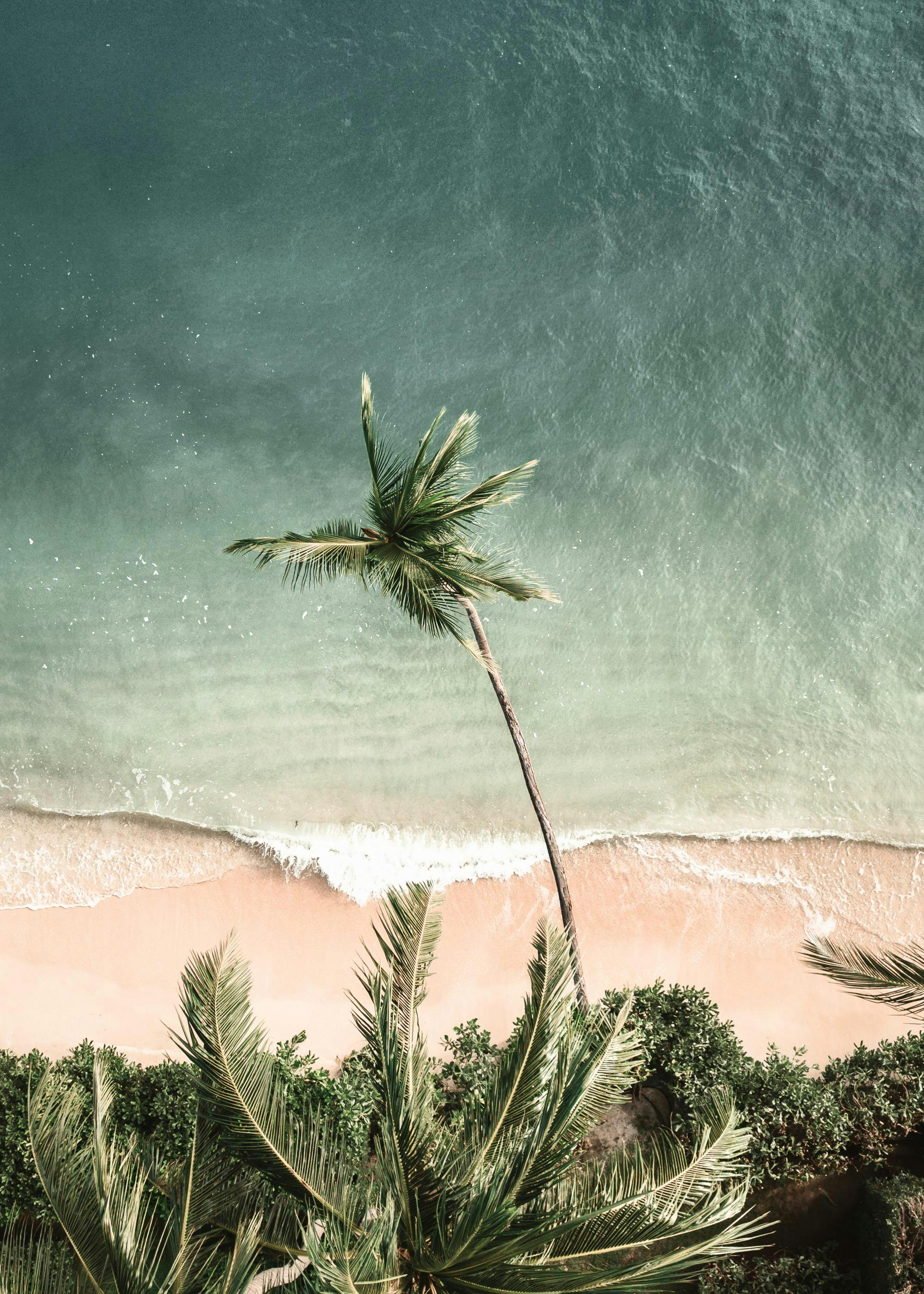 2000x2800 Beach prints. Posters of beaches & coasts