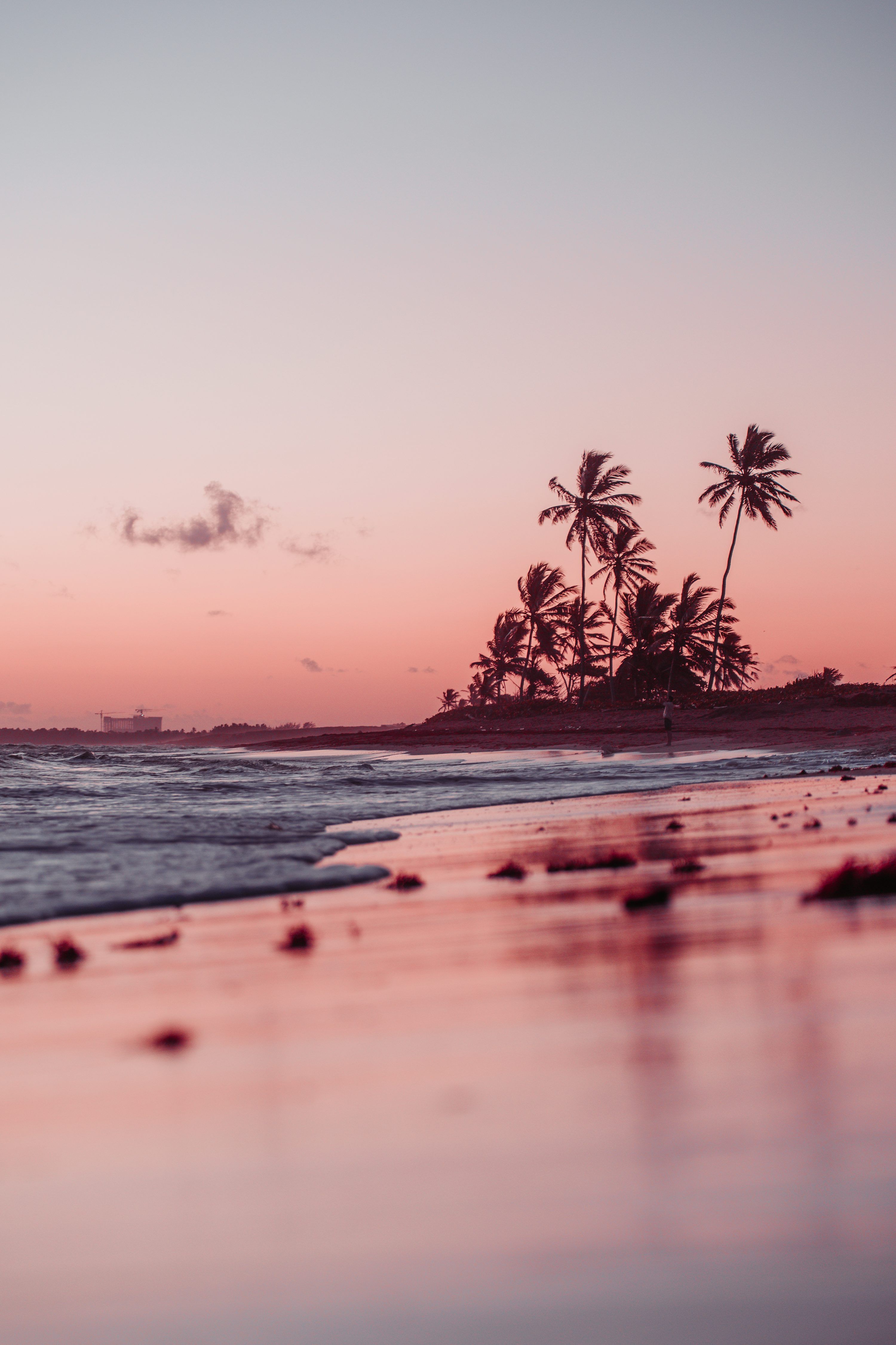 3000x4500 A beach at sunset with palm trees in the background photo