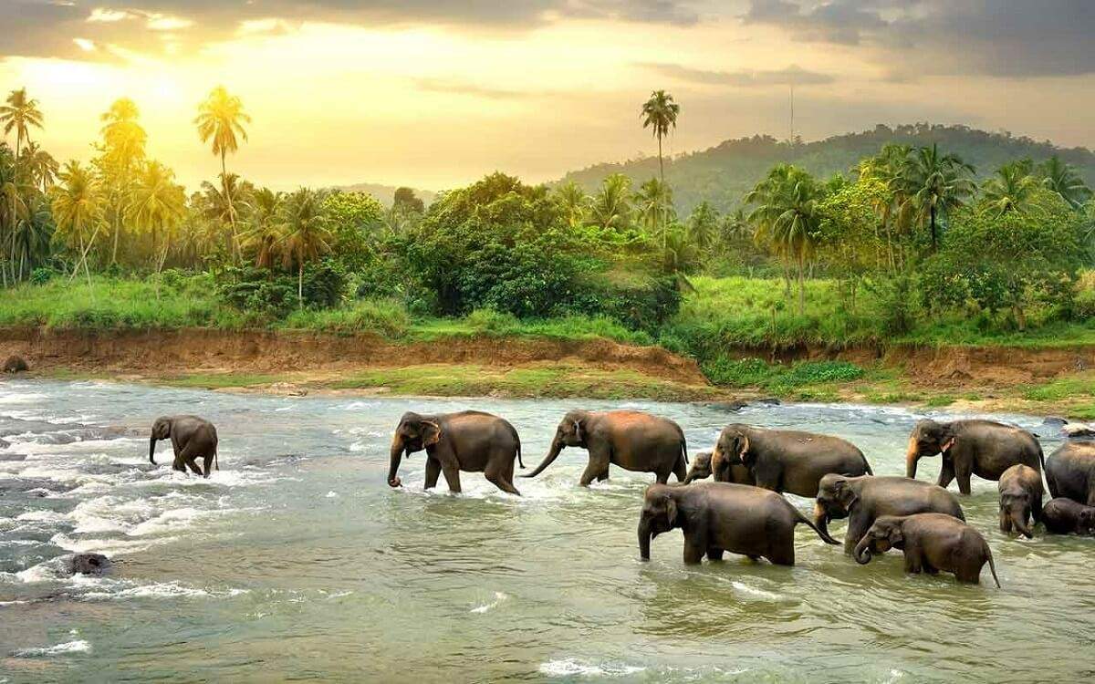 1200x750 Best Places to Visit in South India for Every Kind of Traveler