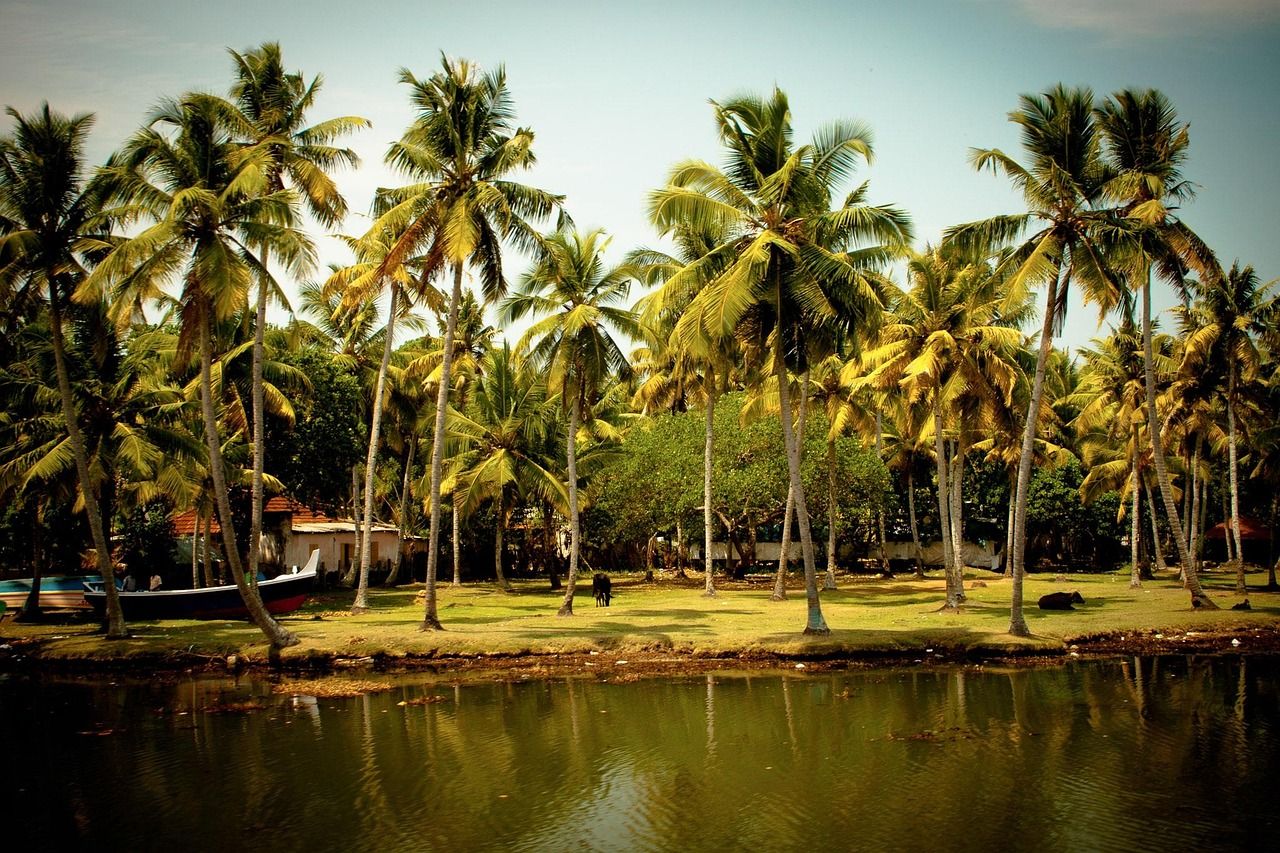 1280x853 Free South India & India Image