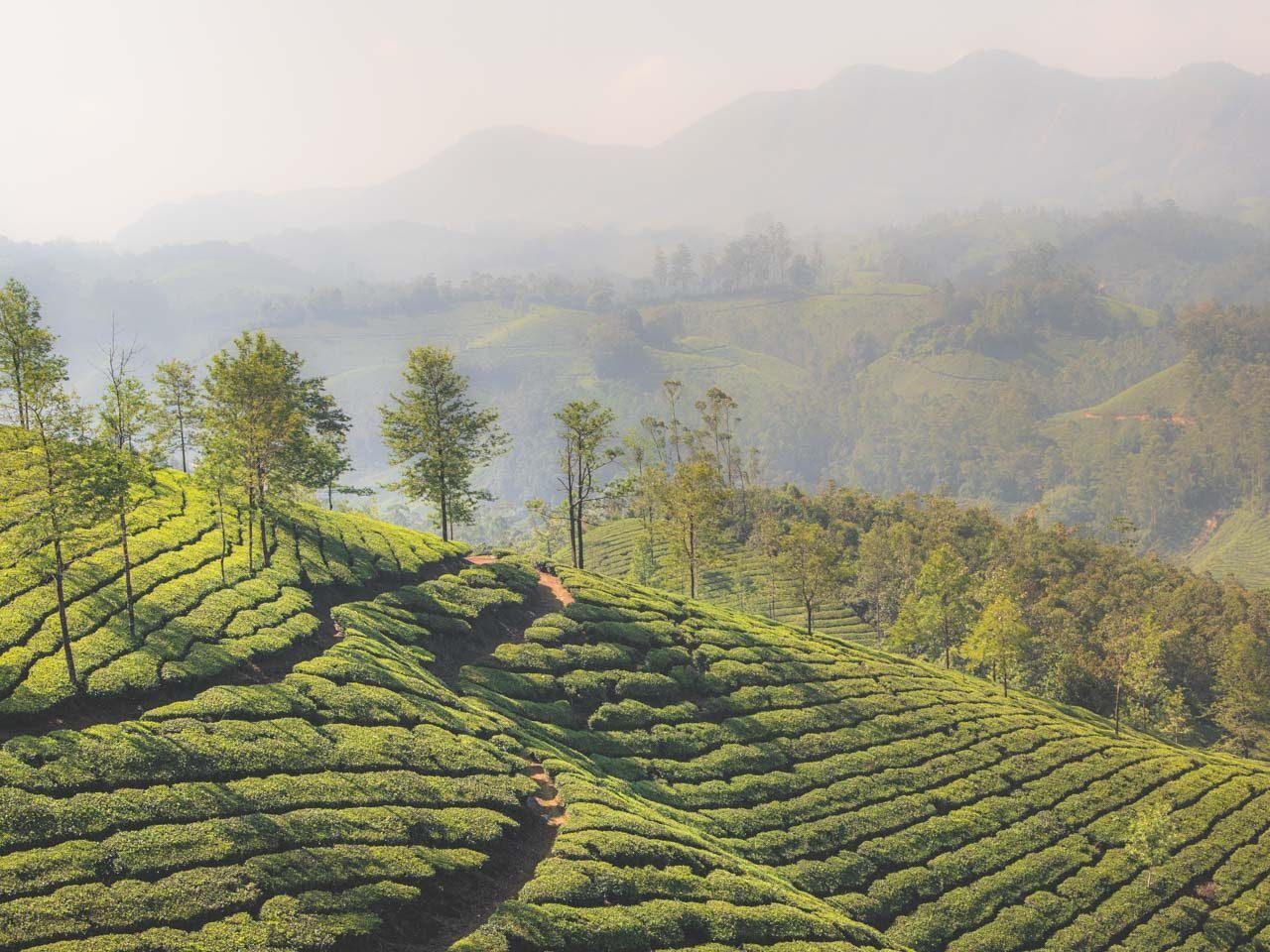1280x960 Week South India Itinerary: Kerala, Karnataka & Goa