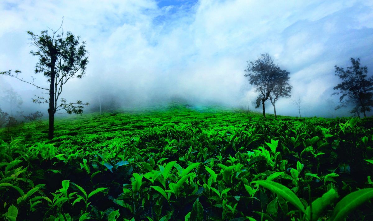 1200x713 Switzerland to India travel Guide South India Tour Packages