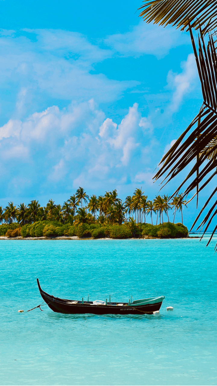 720x1280 The best beach destinations in South India. Times of India
