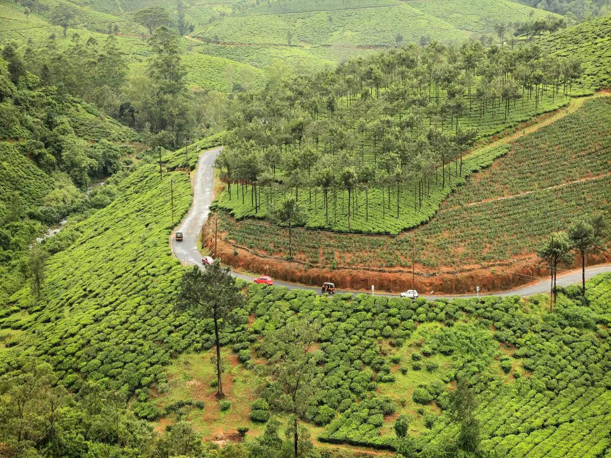 1200x900 South India Summer Travel: Most serene places in South India for a summer escape. Times of India Travel