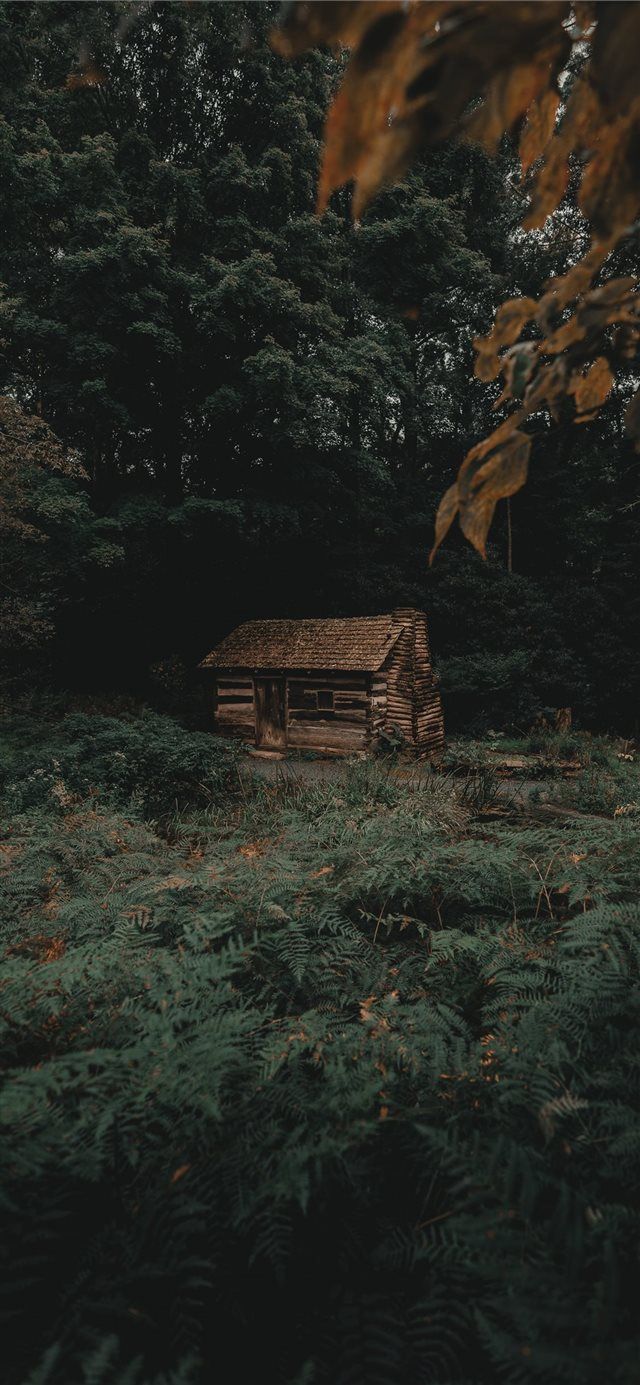 640x1385 Latest Moody iPhone X HD Wallpaper