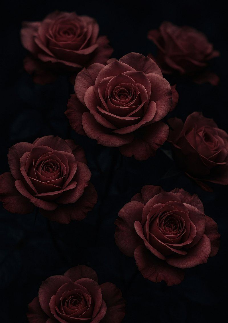 800x1131 Dark roses mysterious bottles mobile