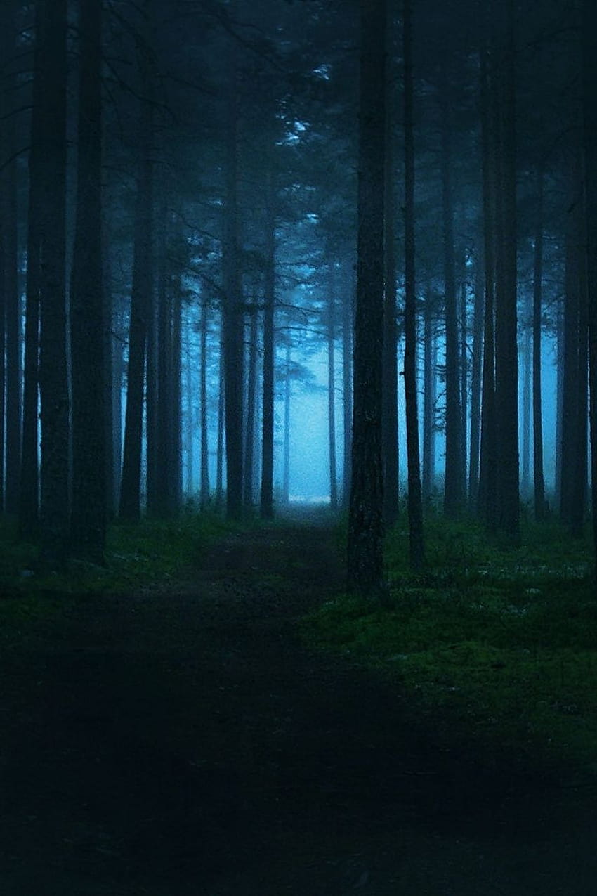 850x1275 Hawxr: Mysterious forest, blue forest aesthetic HD phone wallpaper