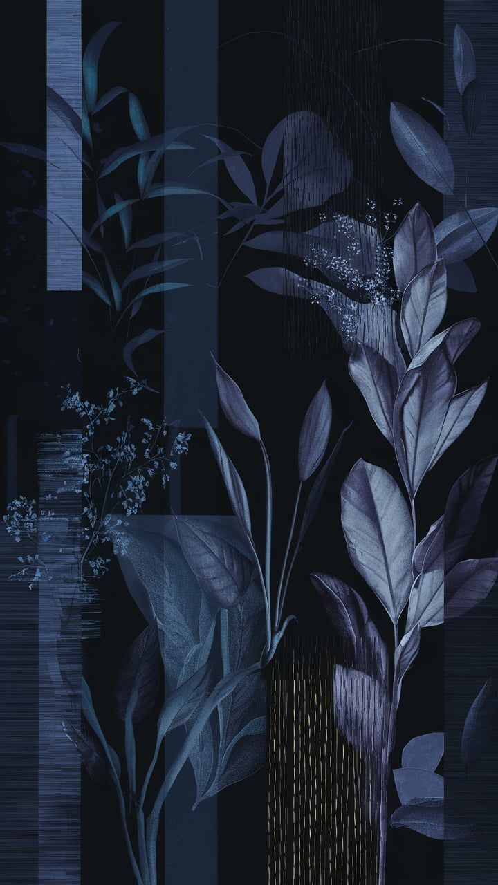 720x1280 Elegant Mystery: Black Aesthetic Wallpaper