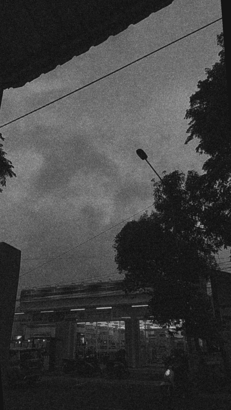 736x1308 Dark Black Wallpaper for a Mysterious Vibe