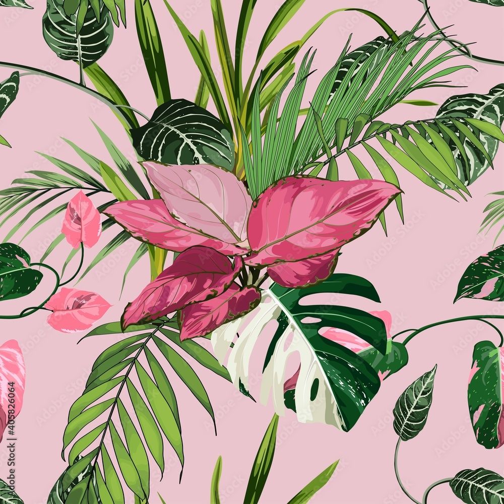 1000x1000 Palant Image