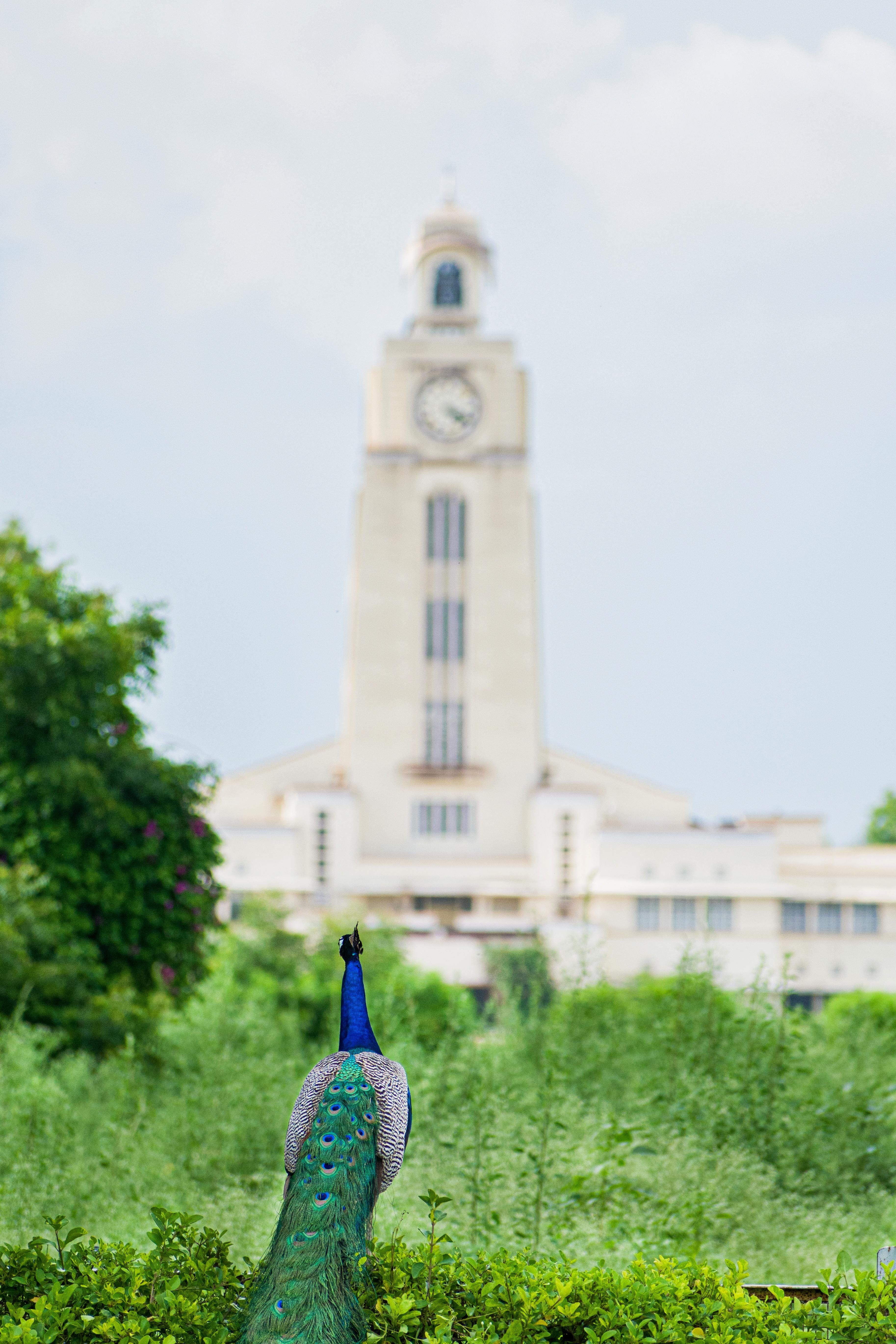3653x5478 BITSians, drop best wallpaper (landscape) worthy pics of the campuses