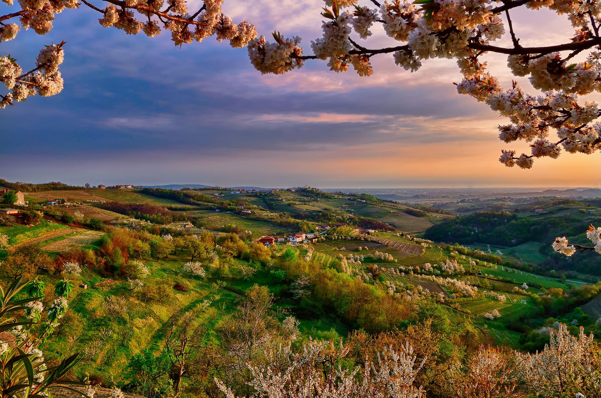 2048x1356 taly, Lombardy, Collio, Spring, April, Valley, Branch, Color, Evening Wallpaper HD / Desktop and Mobile Background