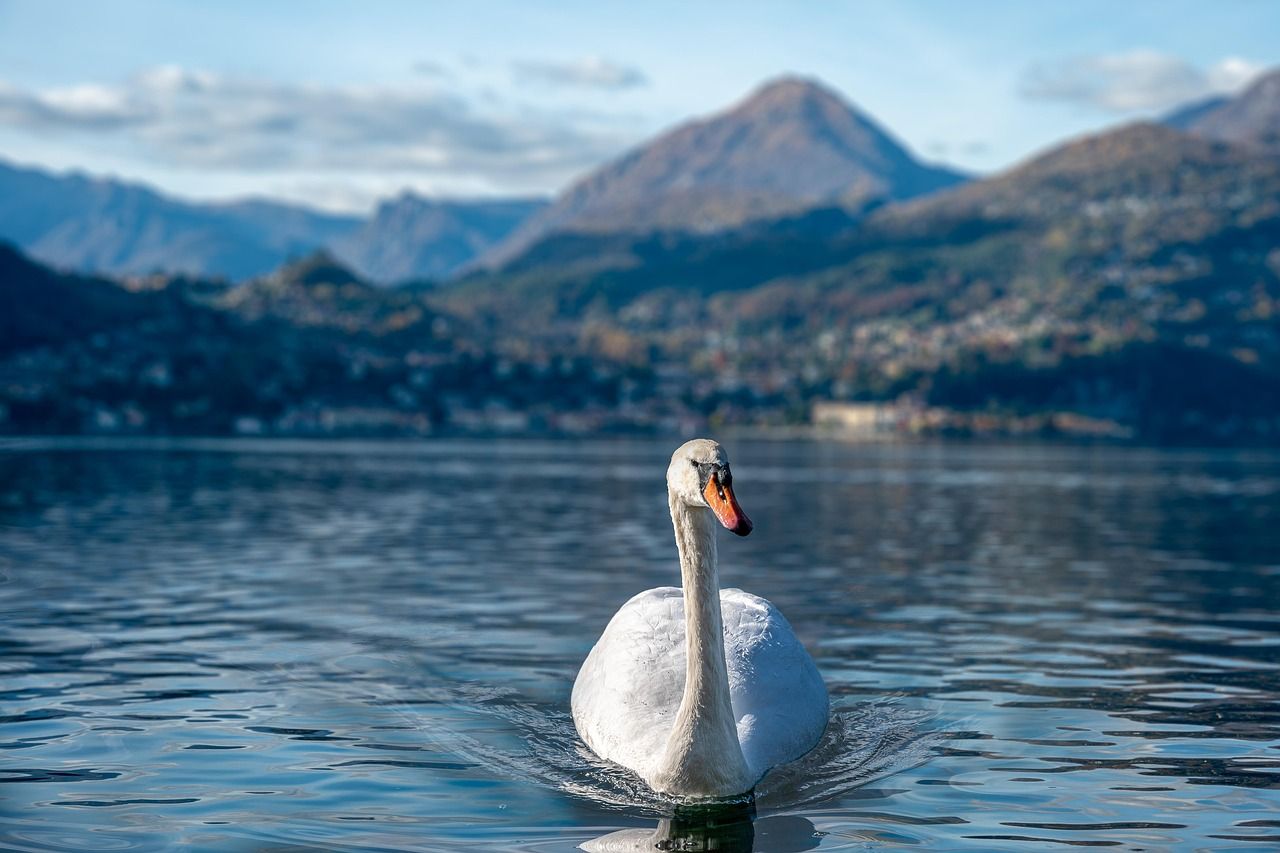 1280x853 Free Lombardy & Italy Image