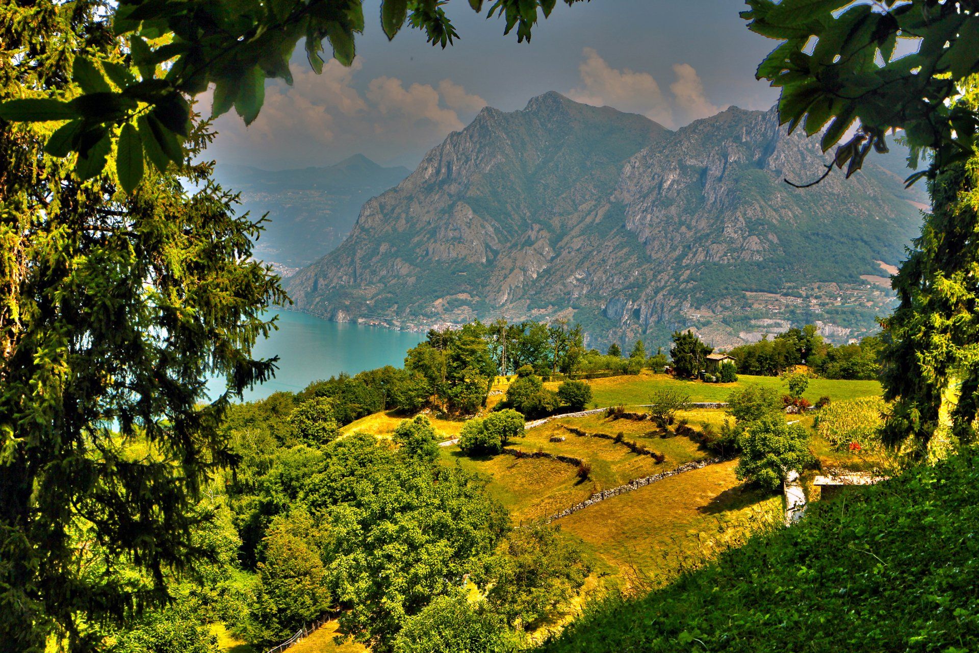 1920x1280 Download Tree Green Lombardy Italy Mountain Nature Landscape HD Wallpaper
