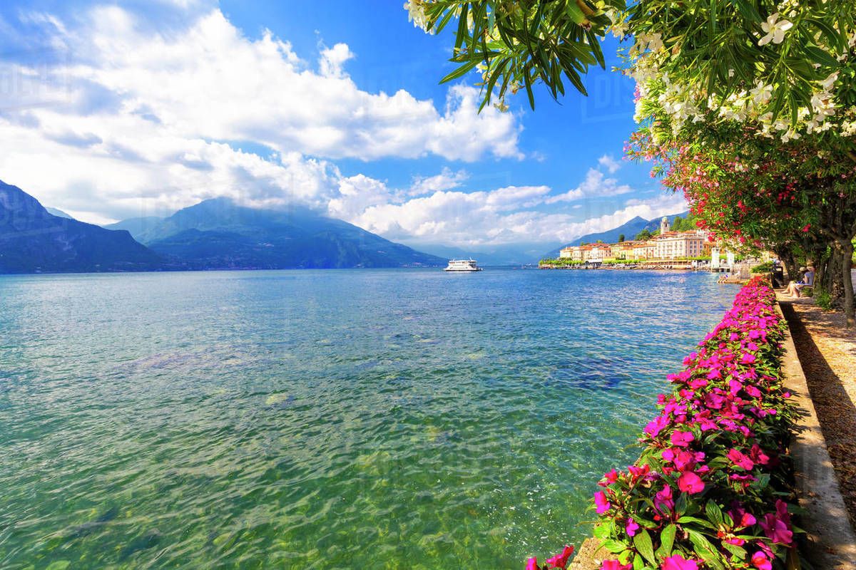 1200x800 Flowers On The Lakeside Of Bellagio, Province Of Como, Lake Como, Italian Lakes, Lombardy, Italy, Europe Free