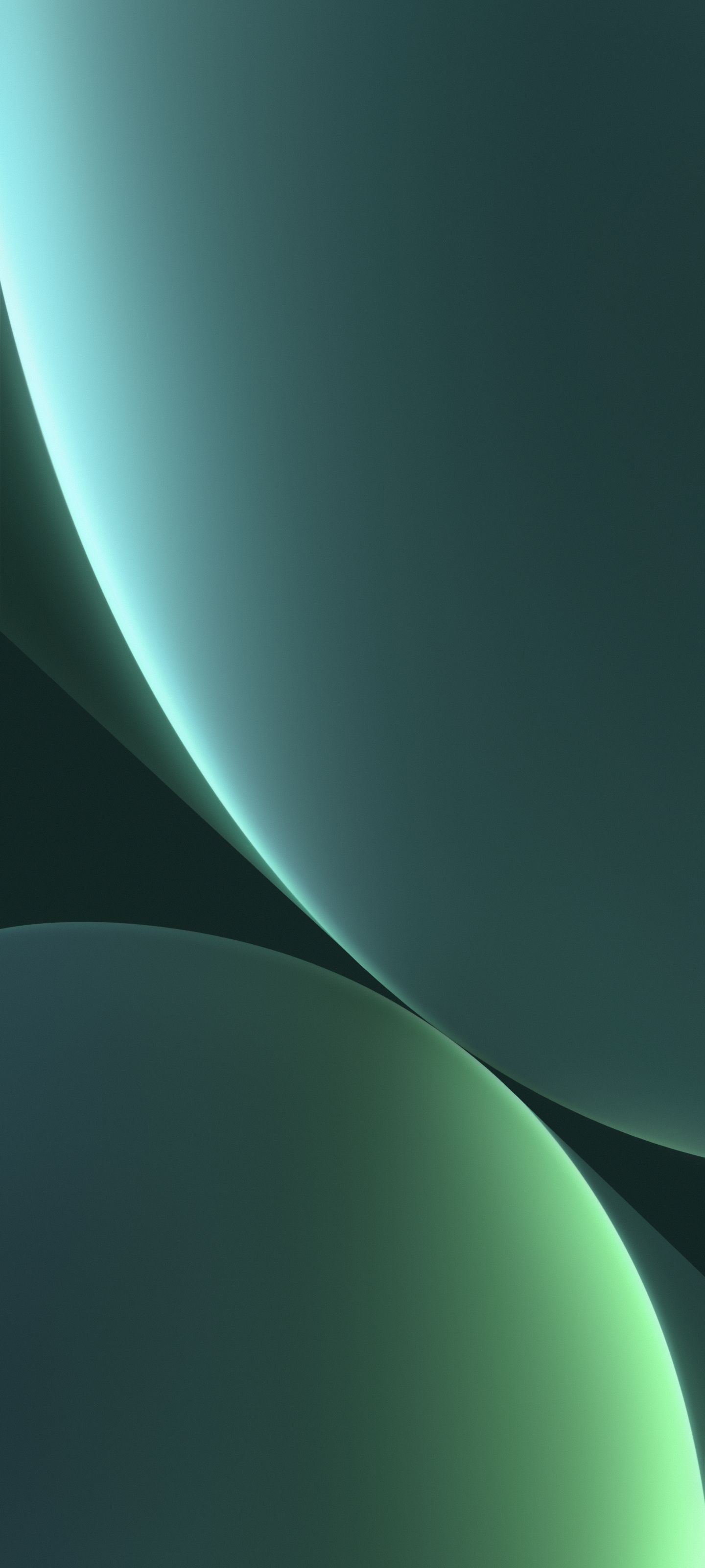 1440x3200 Xiaomi 12 series Wallpaper