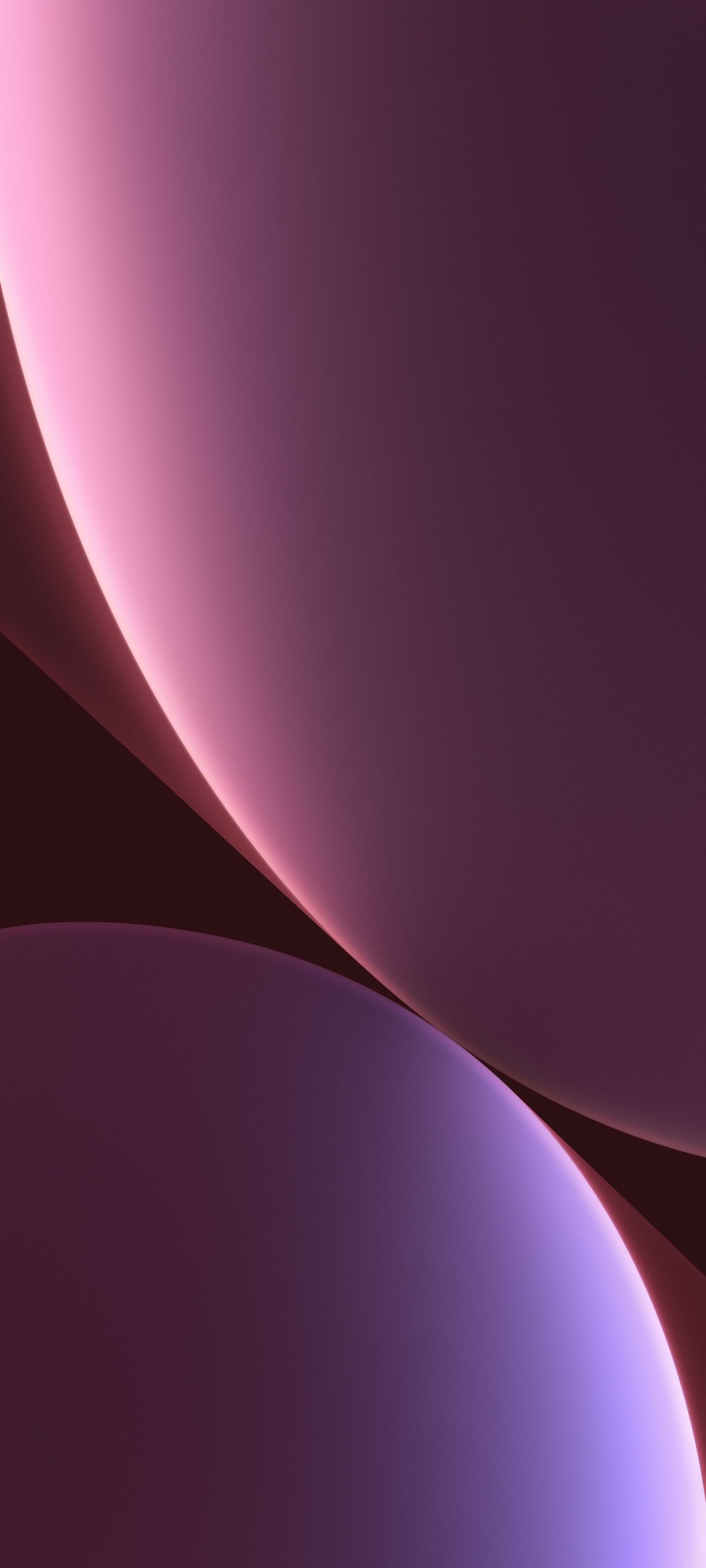 1440x3200 Xiaomi 12 series Wallpaper