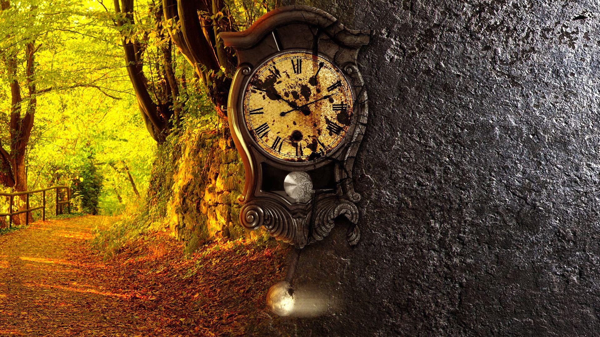 1920x1080 Time in nature Clock on the tree