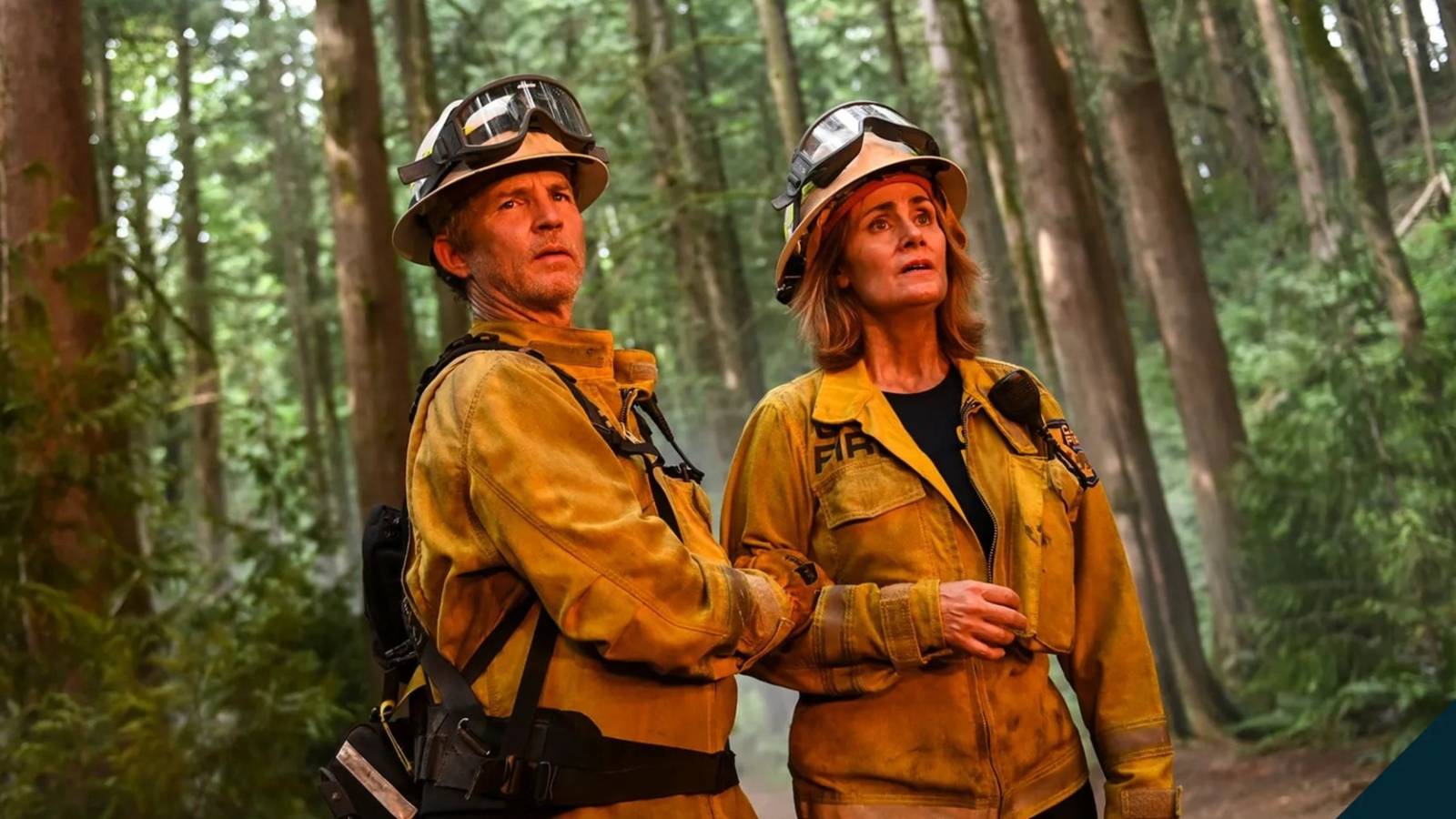 1600x900 Shawn Hatosy Makes His Fire Country Debut as Roving Cal Fire Station Fixer