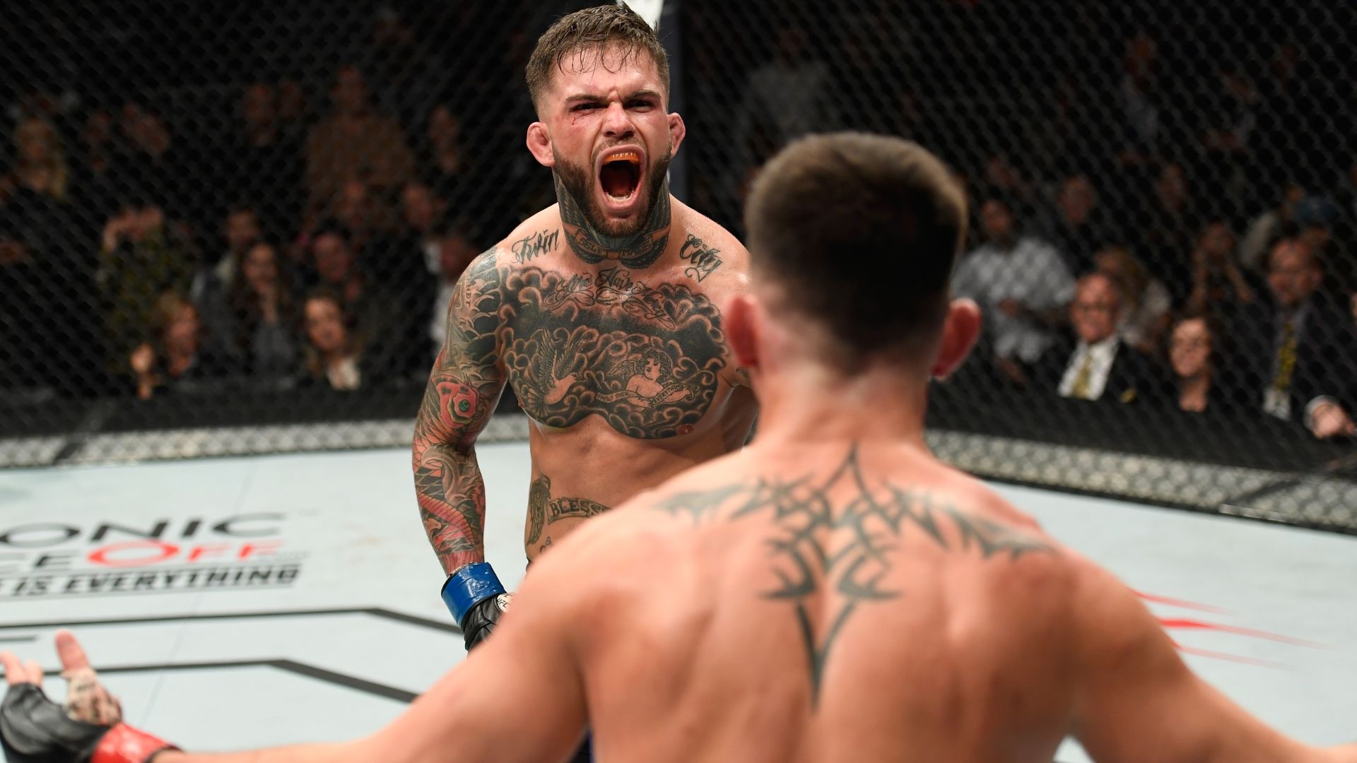 1920x1080 Cody Garbrandt's best UFC fights