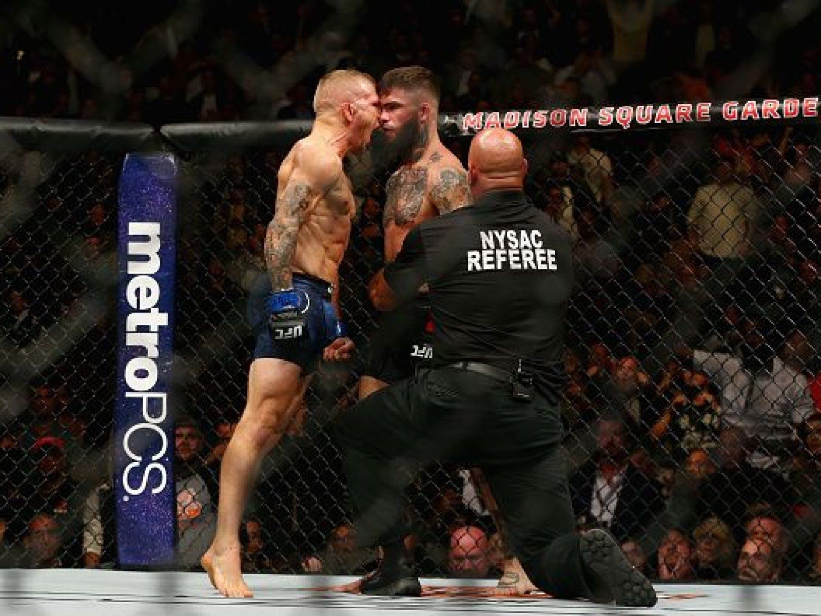 1600x1200 UFC 227: TJ Dillashaw Plans On 'Ruining' Cody Garbrandt's Career