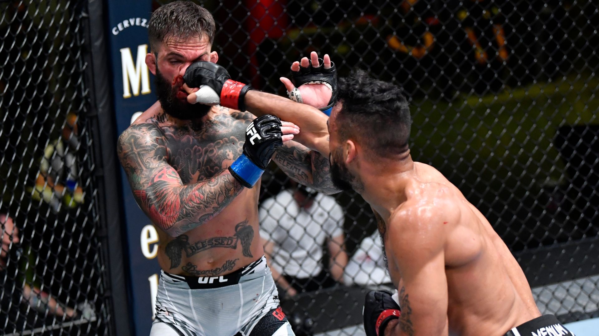 1920x1080 Cody Garbrandt (Bantamweight) MMA Profile