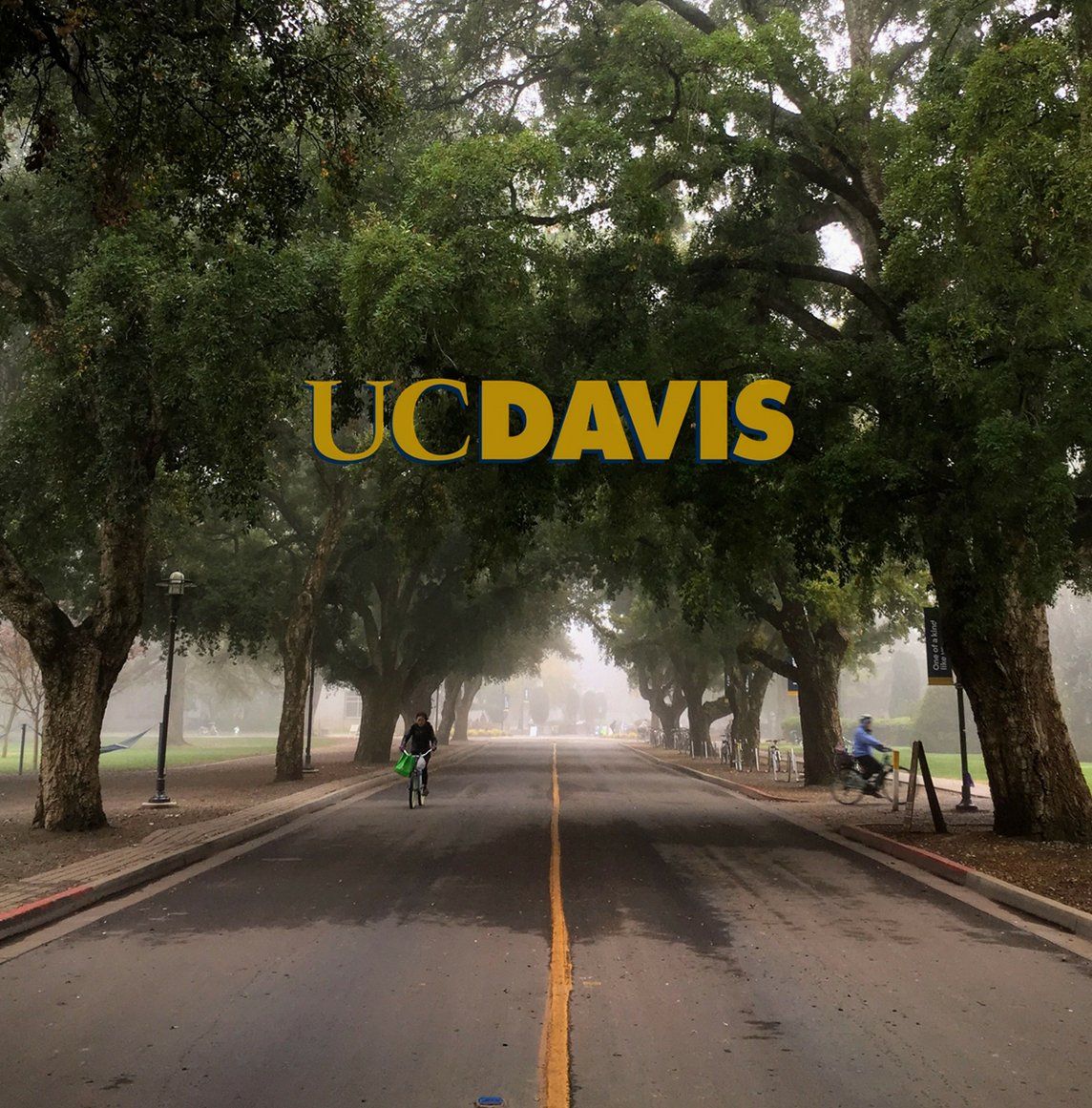 1144x1161 Want Some Campus Wallpaper For Your Phone? Check Out Our & Stories Today To Grab Your Favorite Fall Papers. #UCDavis