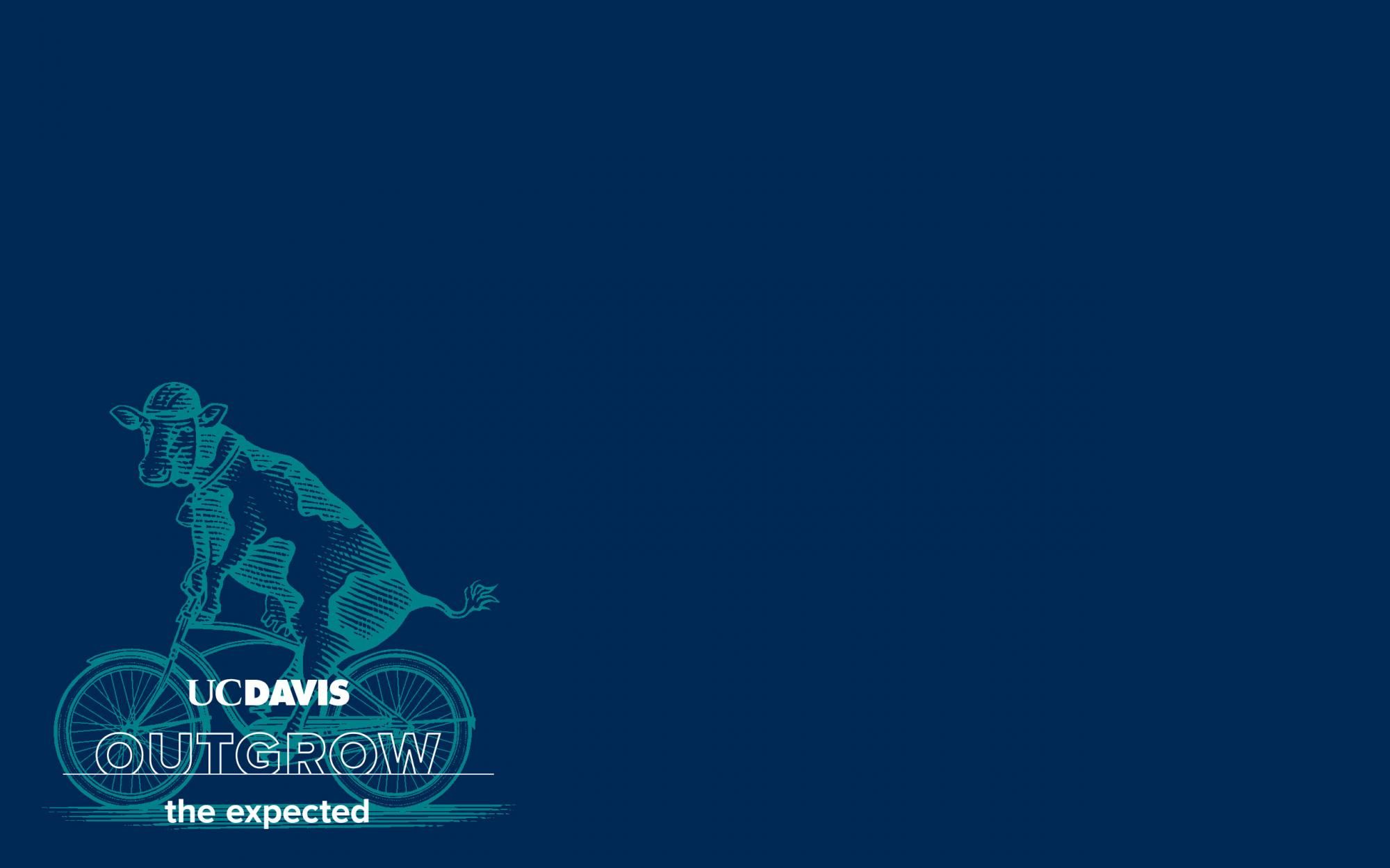 2000x1250 UC Davis Wallpaper