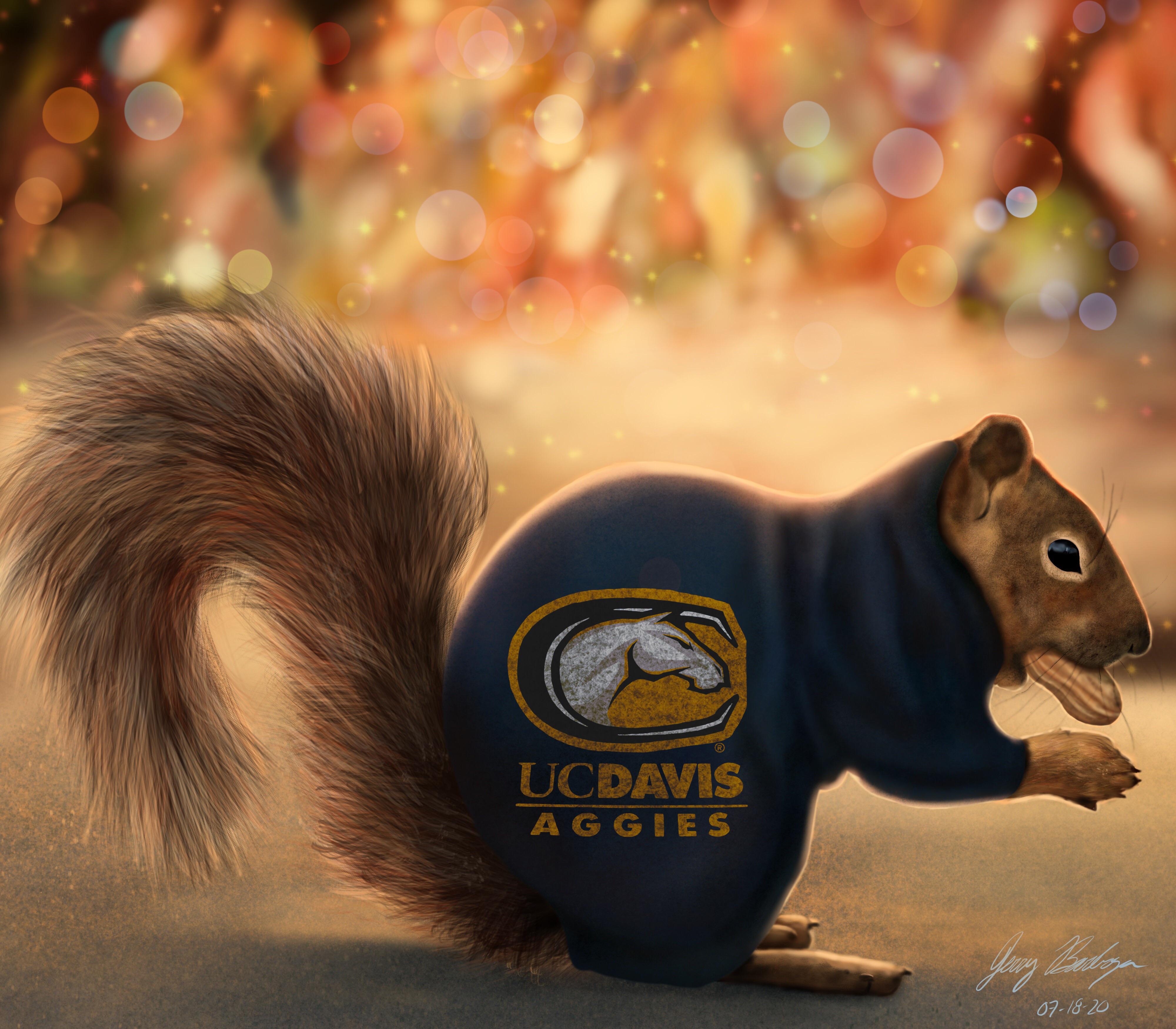 4000x3500 My digital art I did during my free time while at UC Davis