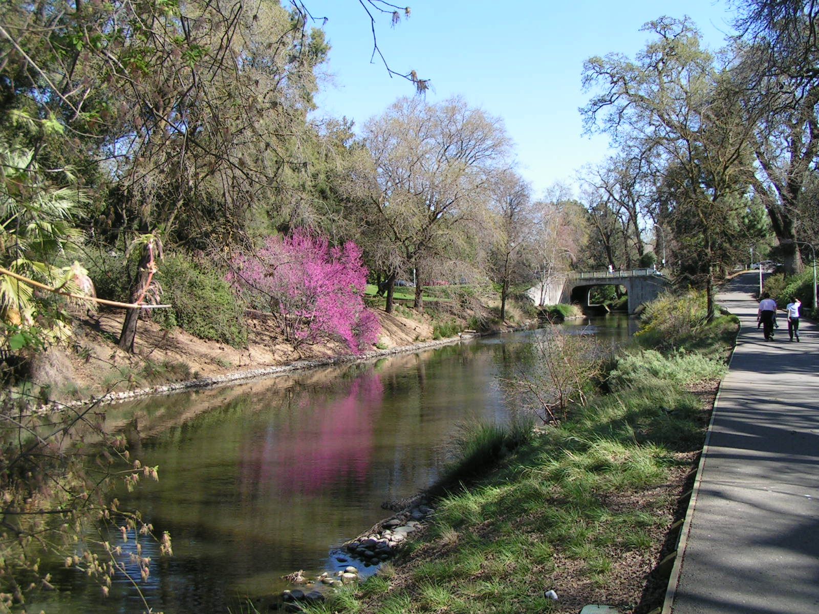 1600x1200 Arboretum, UC