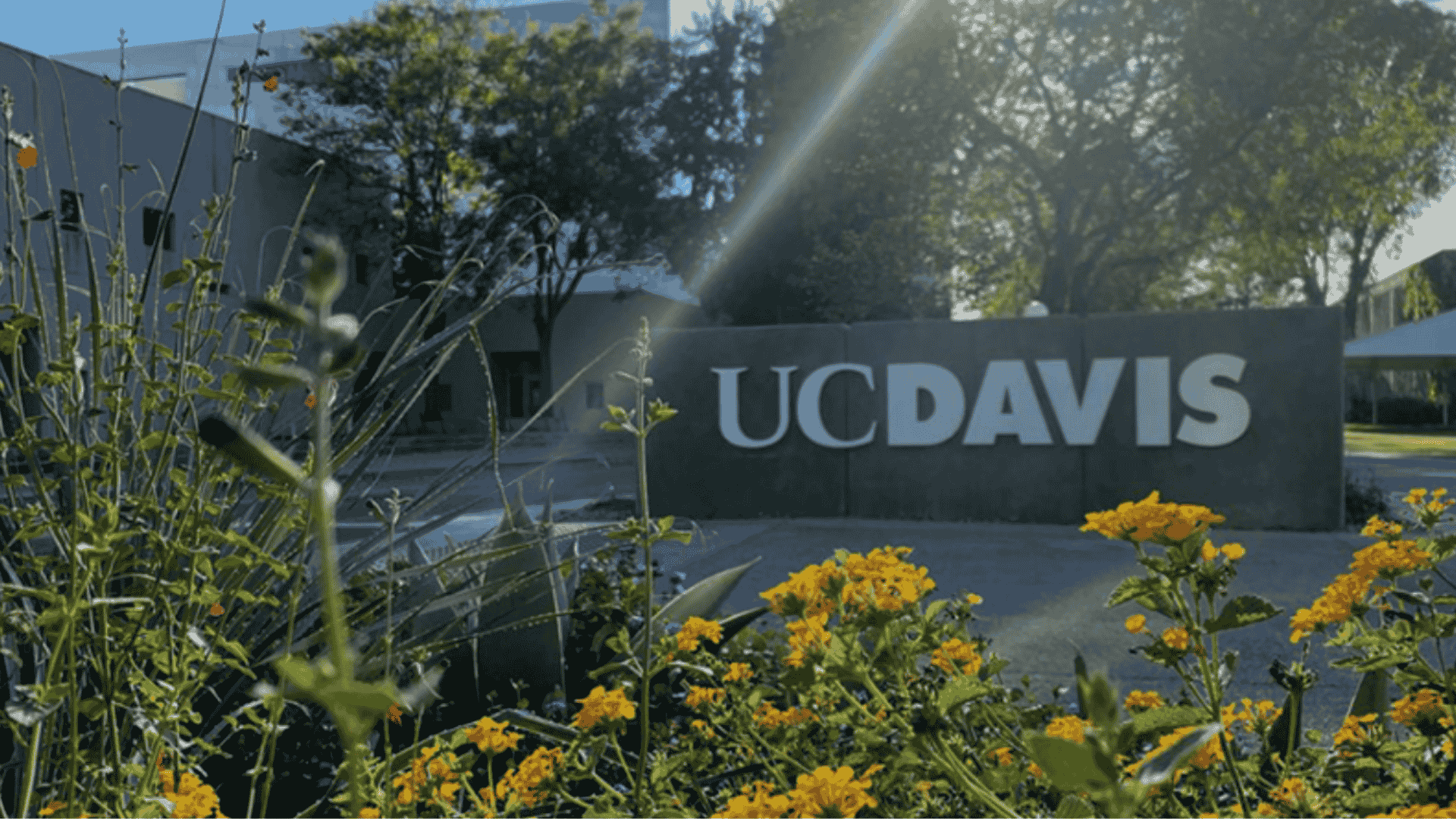 1920x1080 University of California Davis Logistics