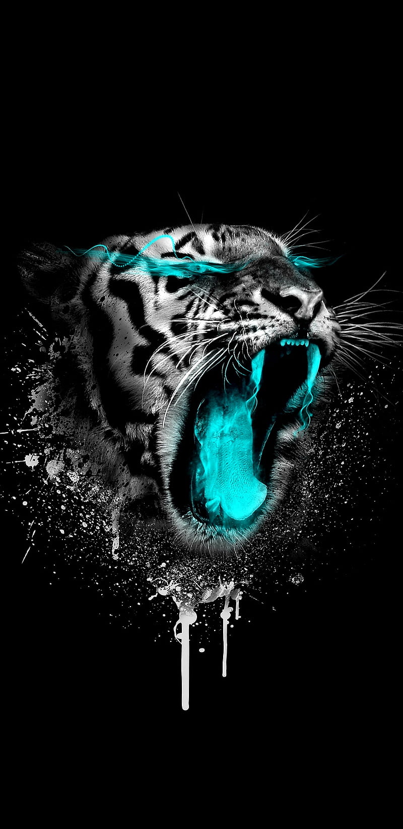 800x1644 HD cyan wallpaper