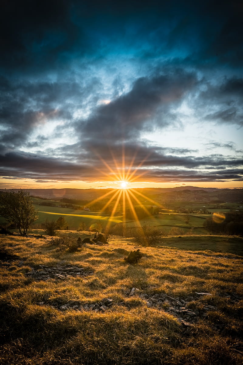 800x1200 Sunset, sun, rays, light, field, landscape, HD phone wallpaper