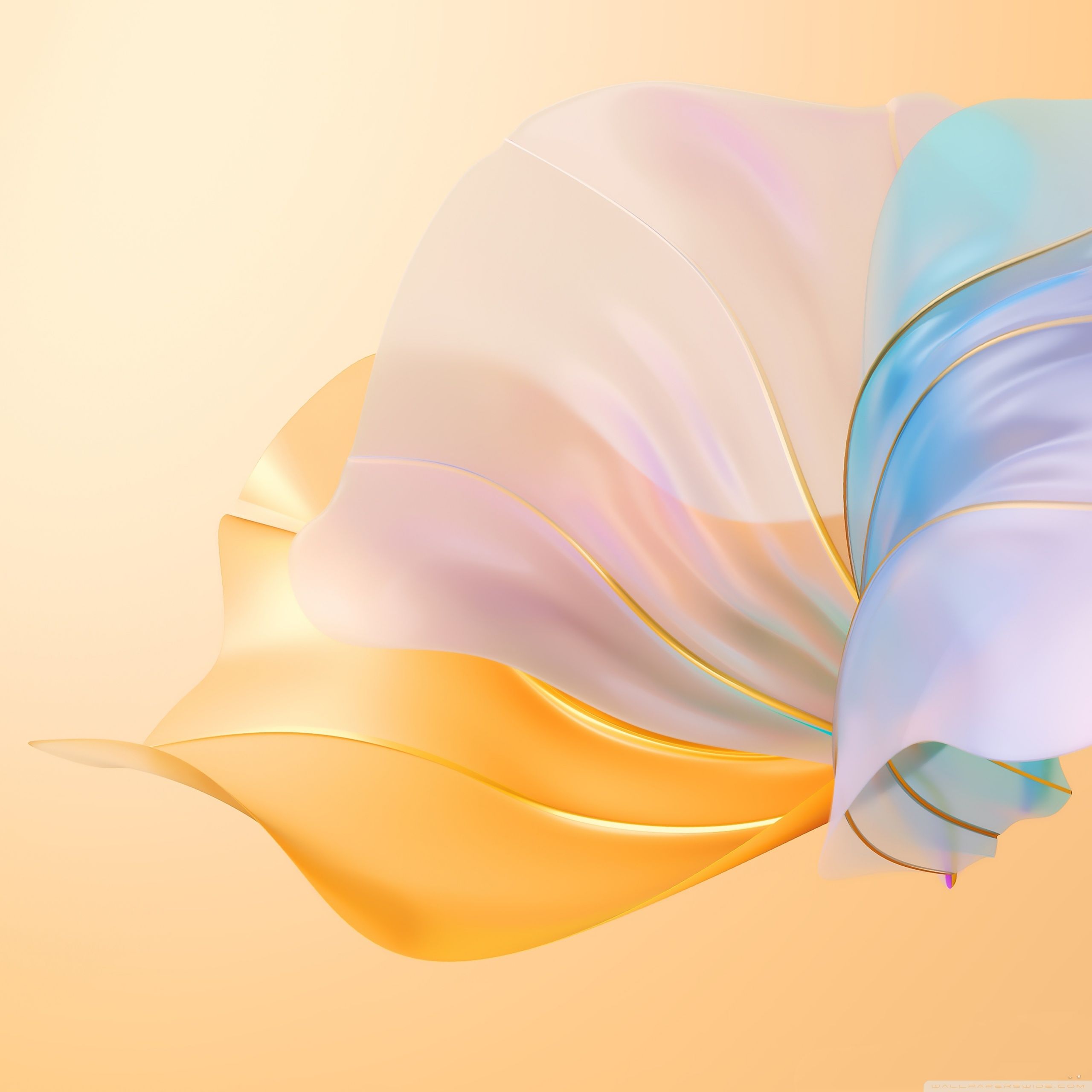 2560x2560 Huawei Nova 8 Pro Stock Aesthetic 4K UHD Wallpaper for UltraHD Desktop and TV : Widescreen and UltraWide Display : Smartphone and Tablet Devices