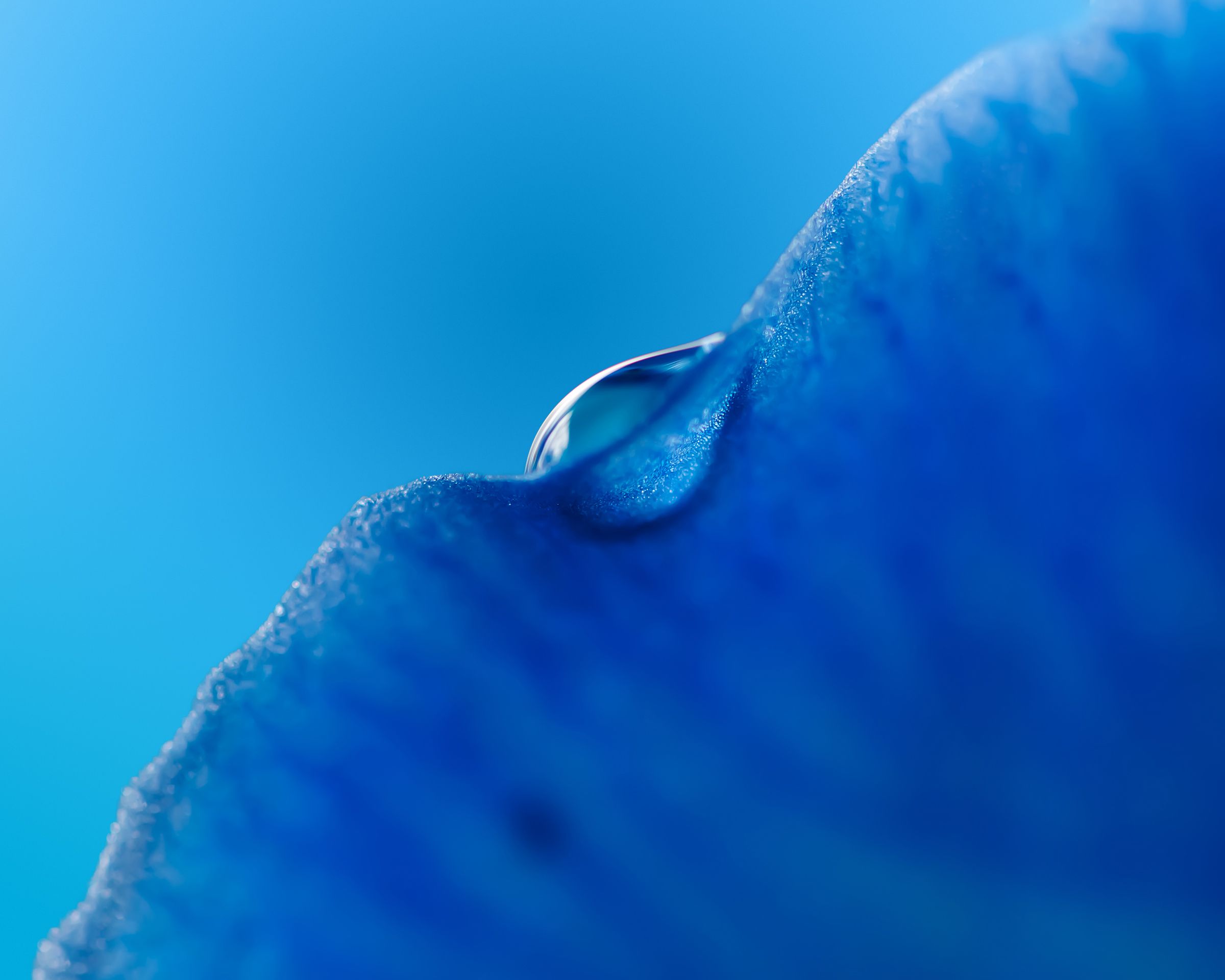 2400x1920 Download Huawei Mediapad T5 Wallpaper