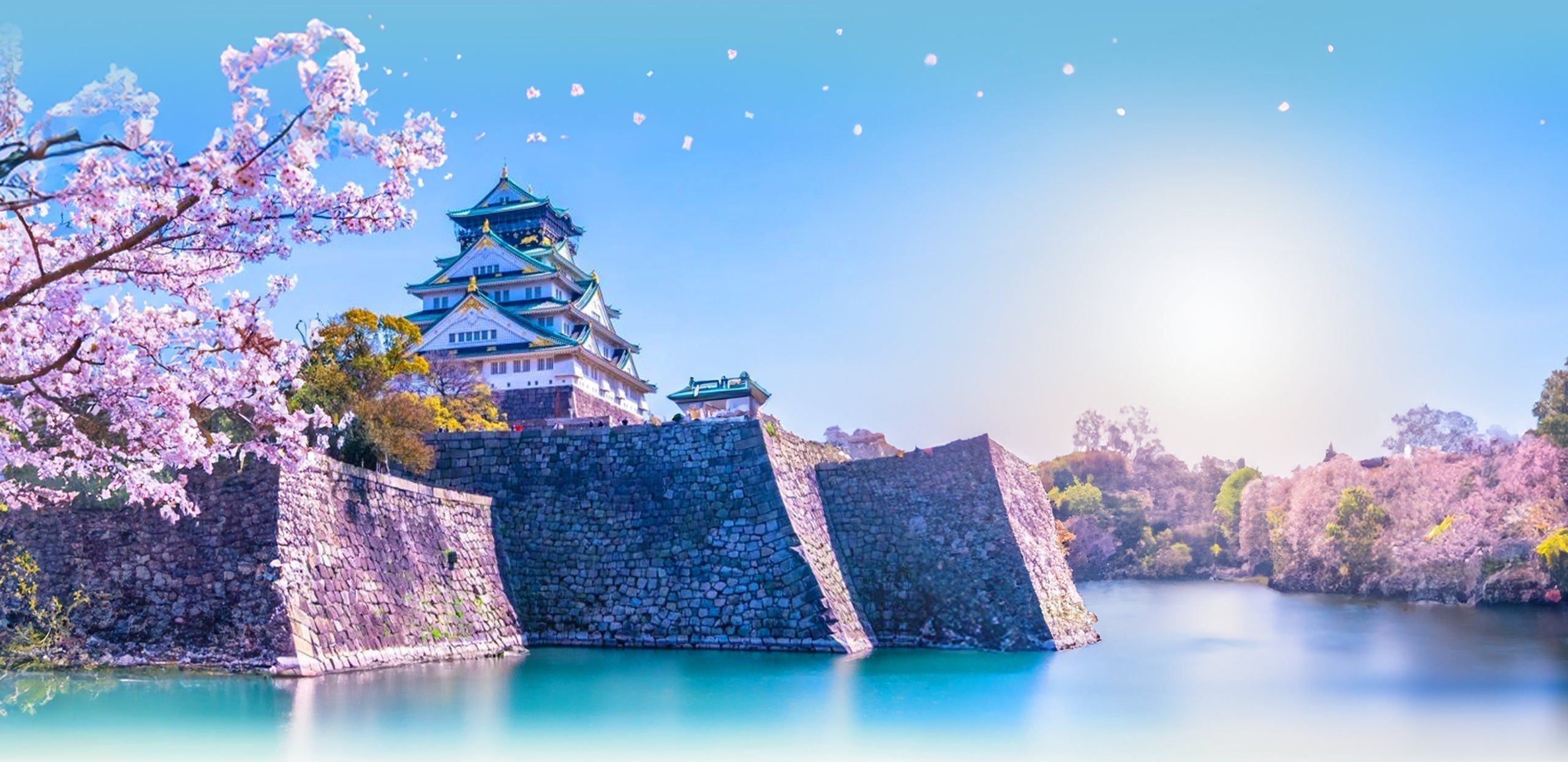 2560x1245 Sakura Season in Osaka 2025: Viewing Spots, Forecast & Travel Tips