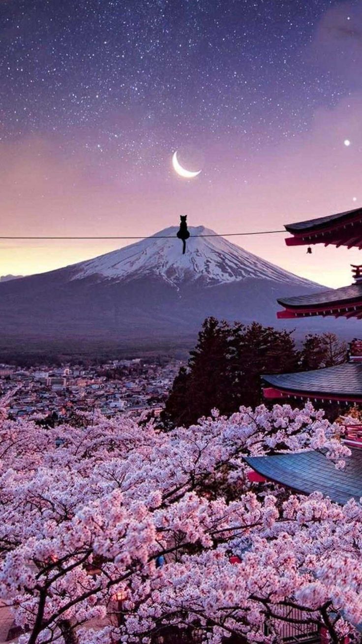 736x1308 Japan Wallpaper