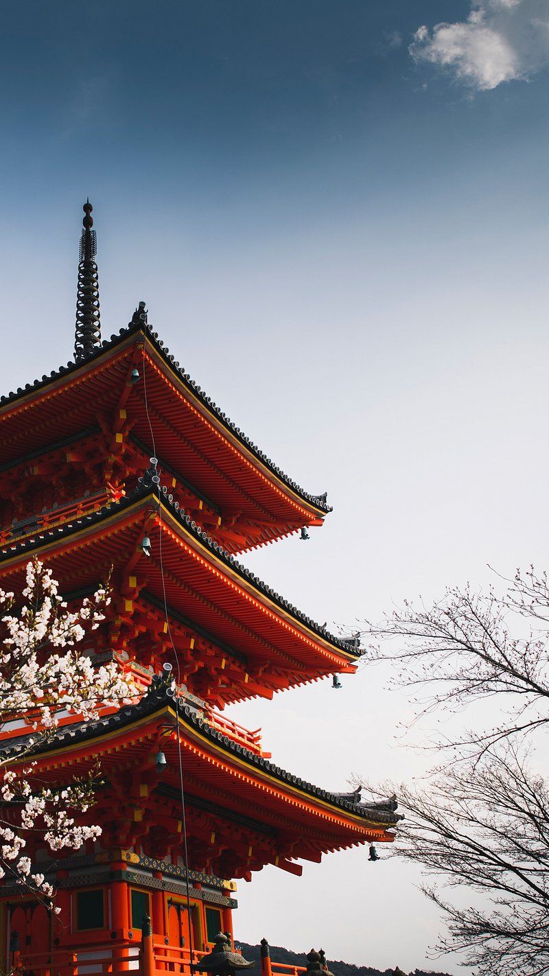 800x1422 Japan Temple Background Image Wallpaper