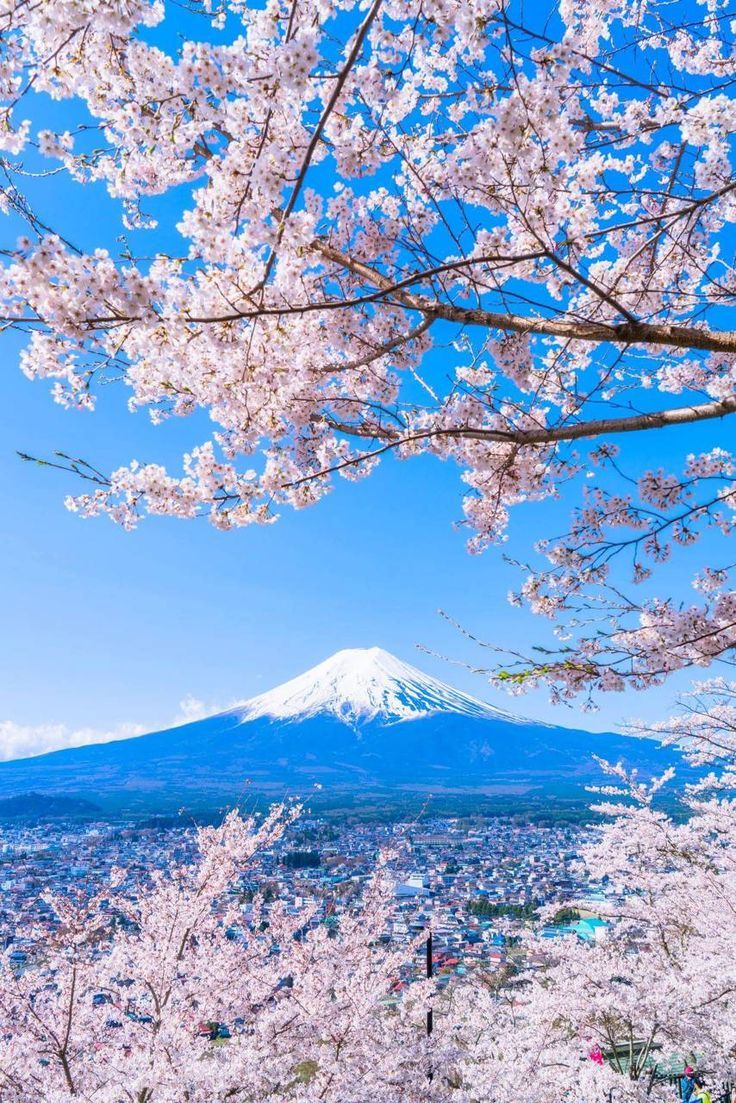 736x1103 Beautiful Japan wallpaper