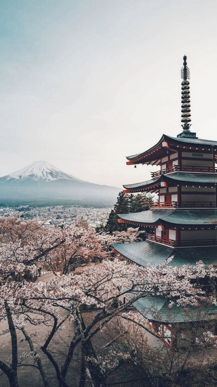 736x1309 Japan photo ideas. japan, japan photography, japan travel