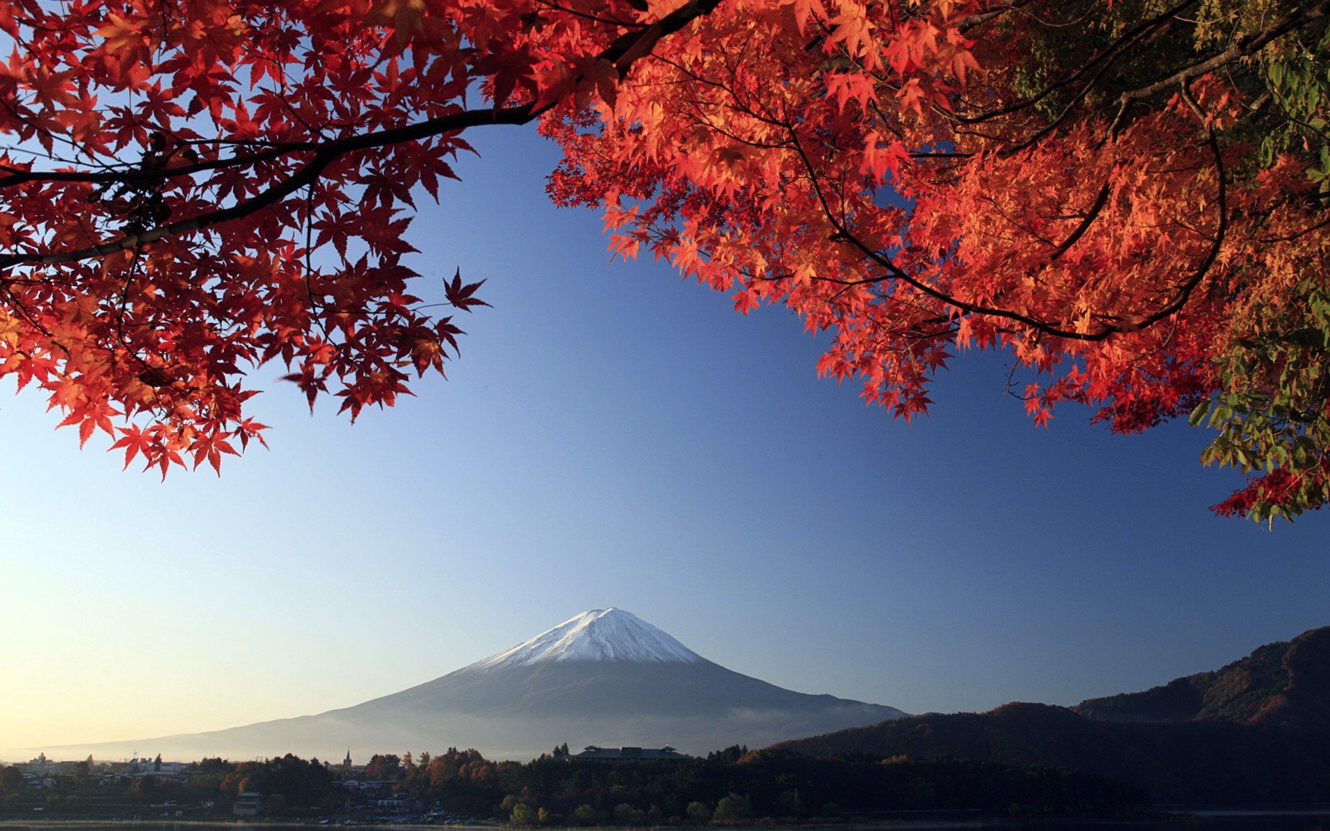 1920x1200 Stunning HD Wallpaper of Mount Fuji Amidst Autumn Leaves in Japan