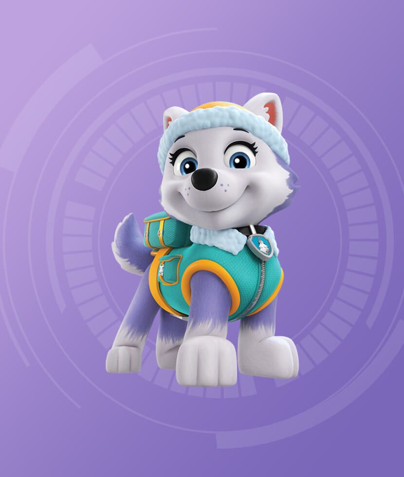 830x980 PAW Patrol
